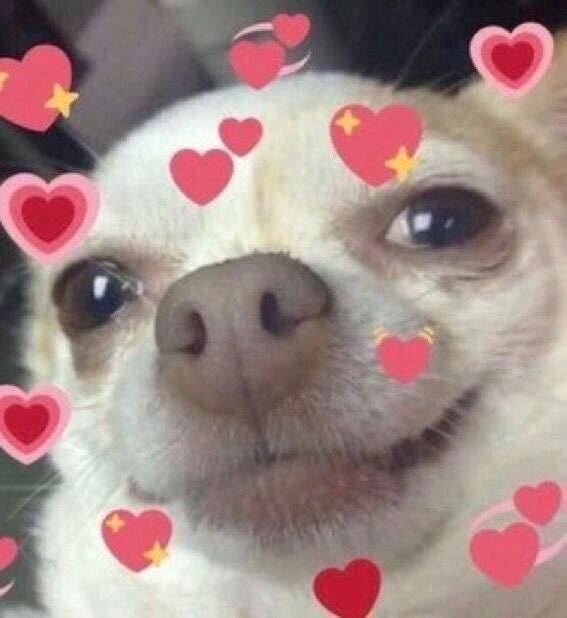 professional Worm🔞 commissions open tweet media