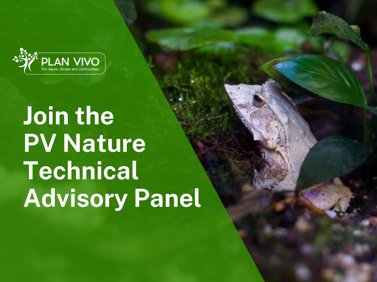 Unique opportunity to join the @Plan_Vivo Biodiversity Standard Technical Review Panel. We are looking for a range of biodiversity experts to assess projects to ensure they meet best practice. Learn more and apply here! planvivo.org/technical-revi…
