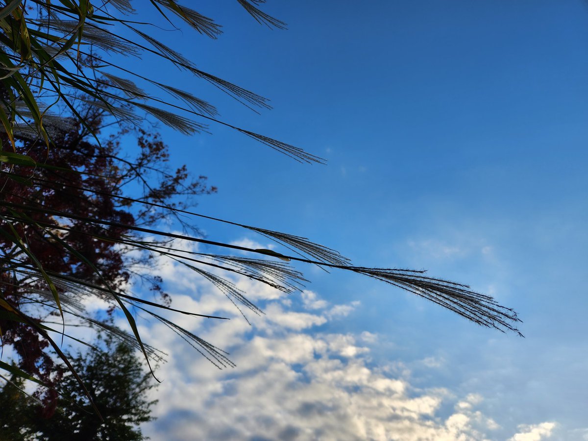 最近の空ーー