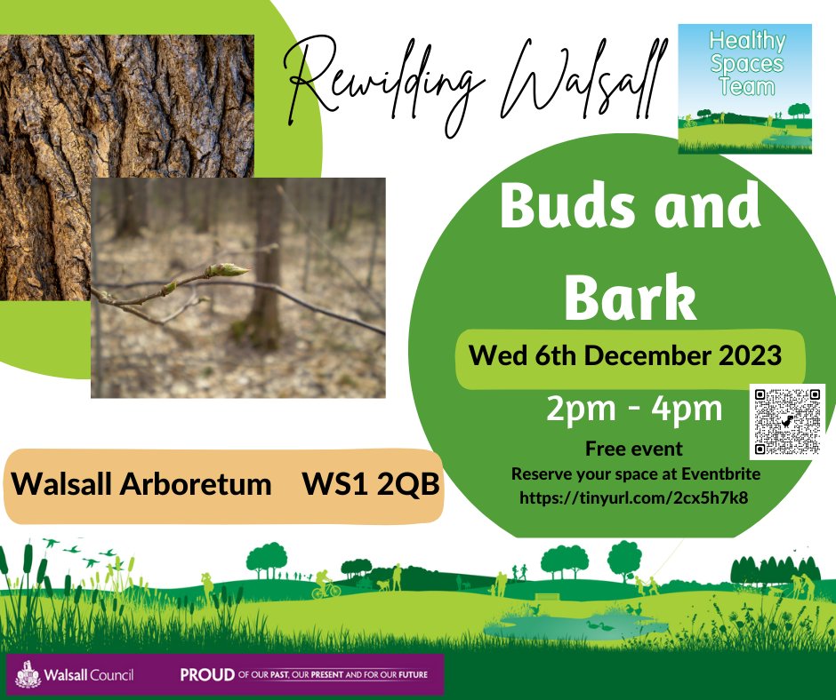HealthySpacesWC's tweet image. Walk the winter woods &amp;amp; uncover the hidden beauty of our local trees! Winter won&apos;t keep us from exploring nature&apos;s secrets--join us Dec 6th at 2pm in Walsall Country Park for an interactive event on identifying tree species in winter! #WinterTreeID #NatureExploration 🌳❄️