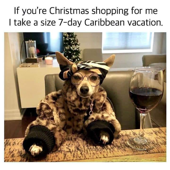 dog survival (@dogssurvival) on Twitter photo 