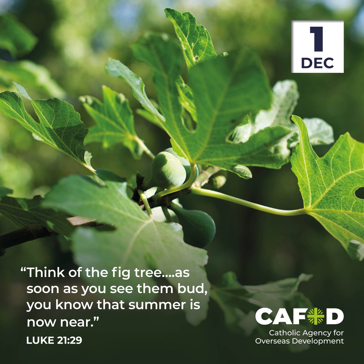 CAFOD in A&B tweet media