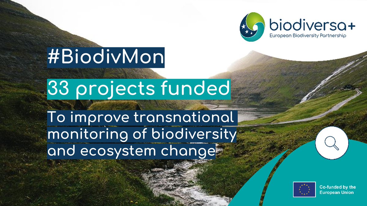 🚀#BiodiversityMonitoring Boost: 33 #Research Projects Funded We launched the #BiodivMon call in Sept 2022, seeking innovative 3-year projects for transnational biodiversity monitoring. After a meticulous evaluation, we're thrilled to announce the selection of 33 projects. 🧵1/3