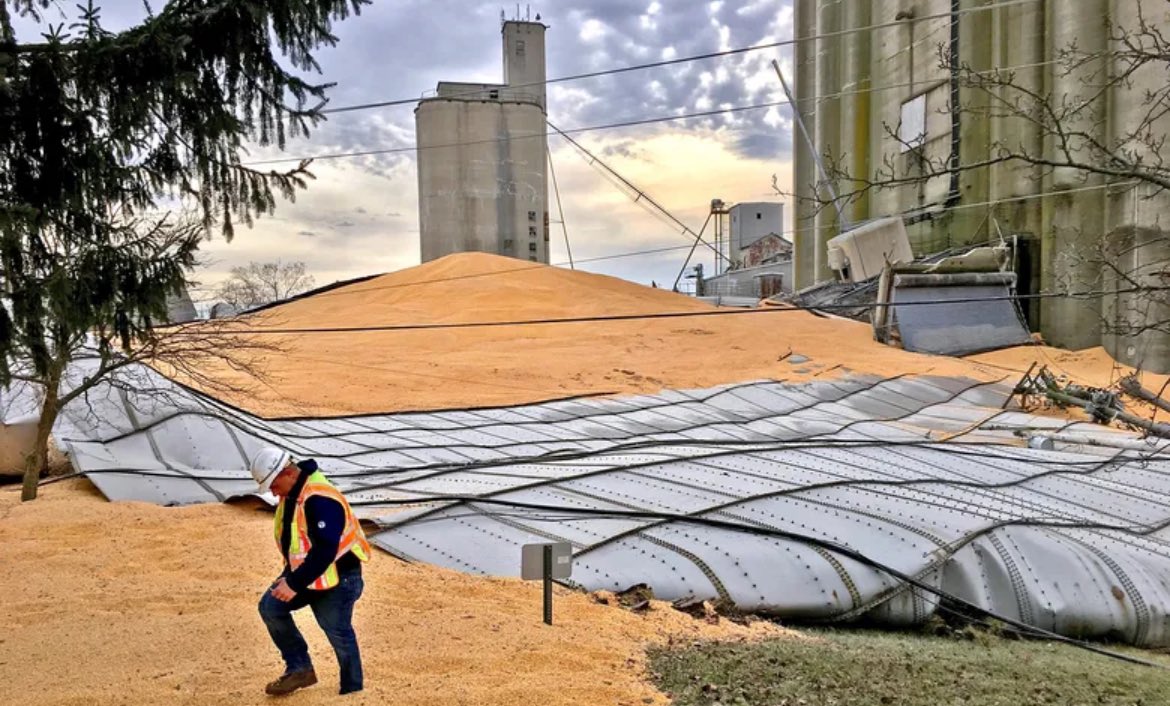 Tim “Clownshow Farms” Braun tweet media