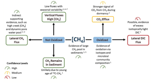 vargaslab's tweet photo. Soils in salt marshes can have VERY HIGH methane concentrations. But where does this methane go? #BlueCarbon  🧐

Check out this new research by @mcapooci and colleagues #VargasLab @GlobalChangeBio 

Support from @NSF @doescience 
👇
https://t.co/GEPKkjlE4e https://t.co/cVnaQ406zk