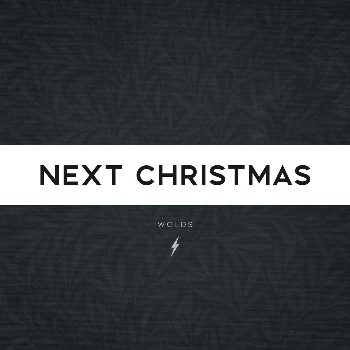 New <a href="/WoldsBand/">W O L D S</a> song out this month.
All proceeds going to <a href="/bloodcancer_uk/">Blood Cancer UK</a> .

Yes it’s a Christmas song… 

But it’s all for charity - so please back it and let’s do some good!