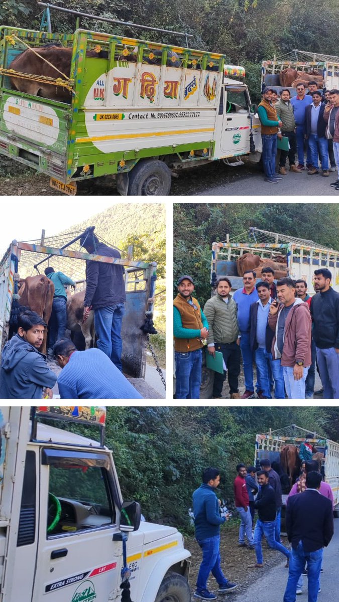 Deputy CVO Bageshwar tweet media