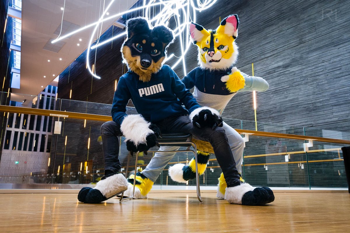 You saw my Spotify Wrap - But did you see this Album Cover my waifu <a href="/Cianiati/">Cinni ✨ cianiati.bsky.social</a> and I dropped?

📸 The amazing <a href="/RemusFur/">Remus</a>
🧵Nero by @Neonfurstudios
🧵Cinny's Serval by <a href="/SchneeCreations/">SchneepardiCreations 🔜 EF</a>
#FursuitFriday #Fursuit