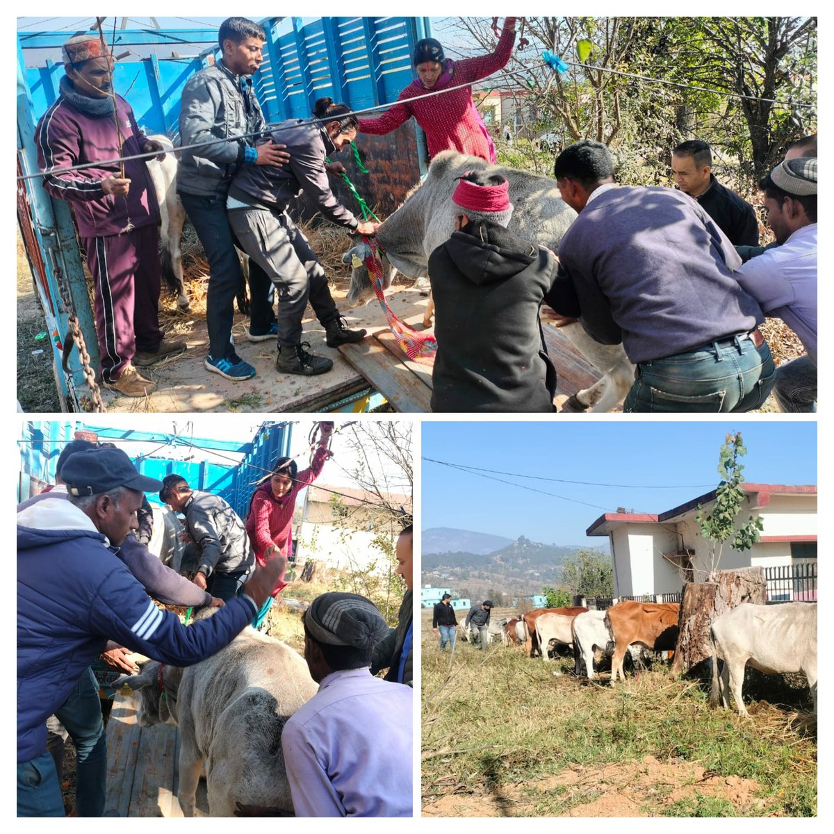 Deputy CVO Bageshwar tweet media