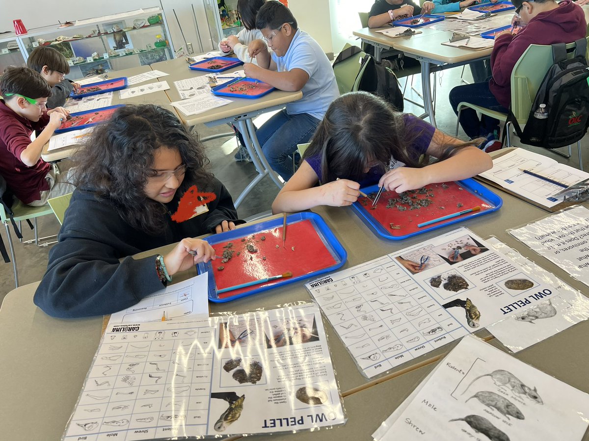 Hands on learning <a href="/elise_walkerolc/">Elise Walker OLC</a> #scienceiscool 😎 #goodvibes <a href="/JohnRGood/">JohnRGood</a>