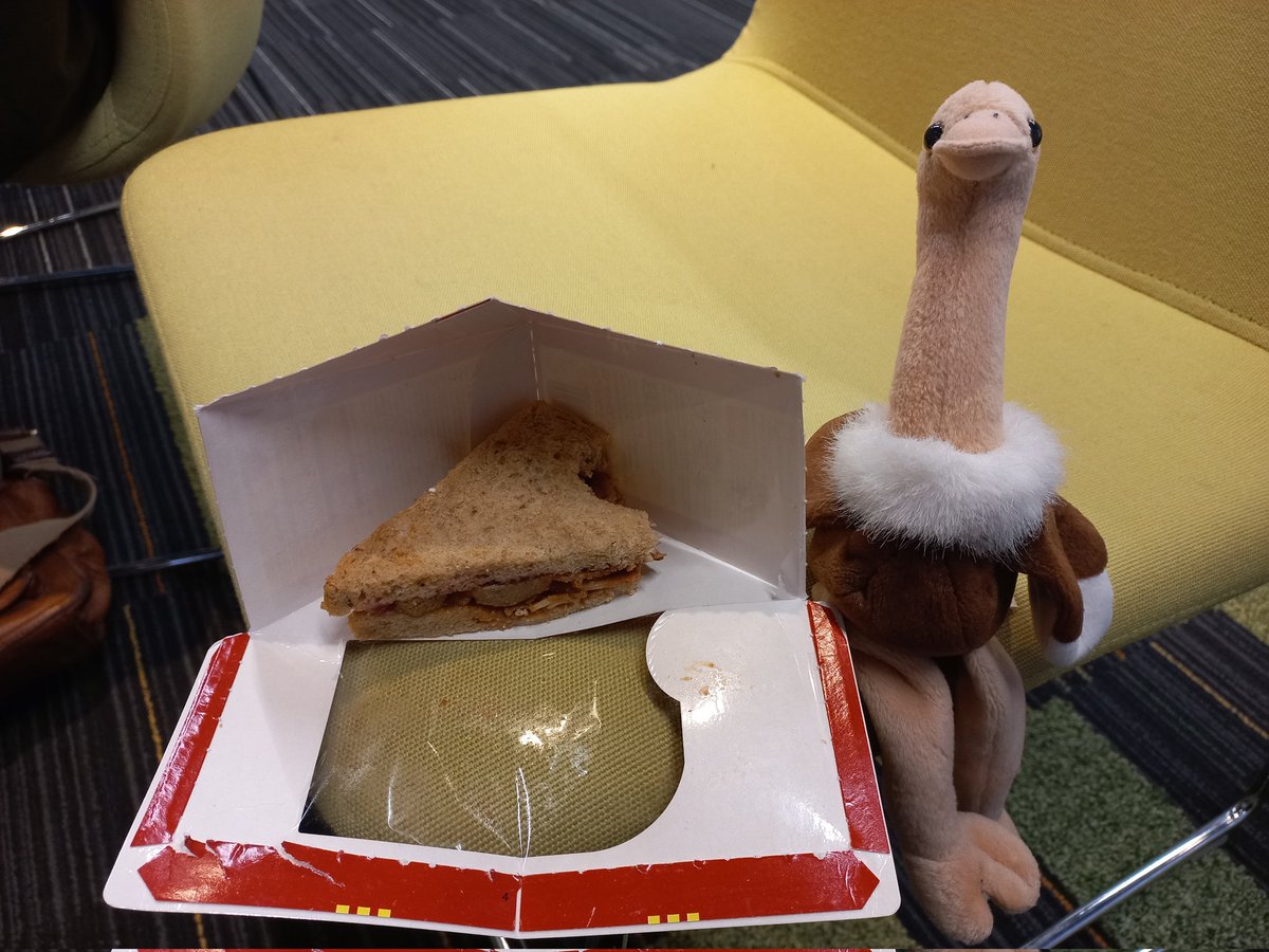 The OSTRICH Study tweet media