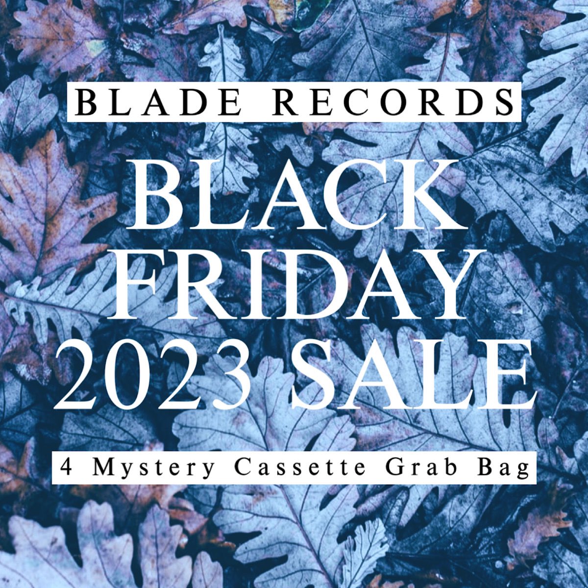 BLADE__RECORDS's tweet image. It’s #BandcampFriday ! We still got some of these mystery baggies up on our Bandcamp bladerecords.bandcamp.com/album/album-13 11 bux for 4 tapes #punk #NewMusic #cassette #diycassette #emo #lofi #synth #experimental #postpunk #goth #bandcamp #diytapes