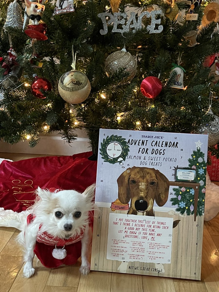 PrincessAvaBiso's tweet photo. YIPPEE SKIPPY!! Itโs December 1st and you know what that means?!? Trader Joeโs Advent Calendar for doggies!!!
#PrincessAvaBisou #puppymillsurvivor #PrisonertoPrincess #endpuppymills #dontbutyhepetstorelies #apetstorepuppyISapuppymillpuppy #traderjoes #adventcalendarfordogs https://t.co/i8xGmvm267