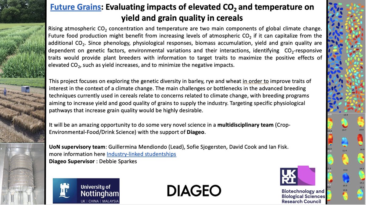 We are recruiting a PhD student for our project: Evaluating impacts of elevated CO2 and temperature on yield and grain quality in cereals @nottm_bbsrc_dtp @UoNBiosciences and #DiageoGB Please help by spreading the word in your networks. #AcademicTwitter #Jobs #PhDposition