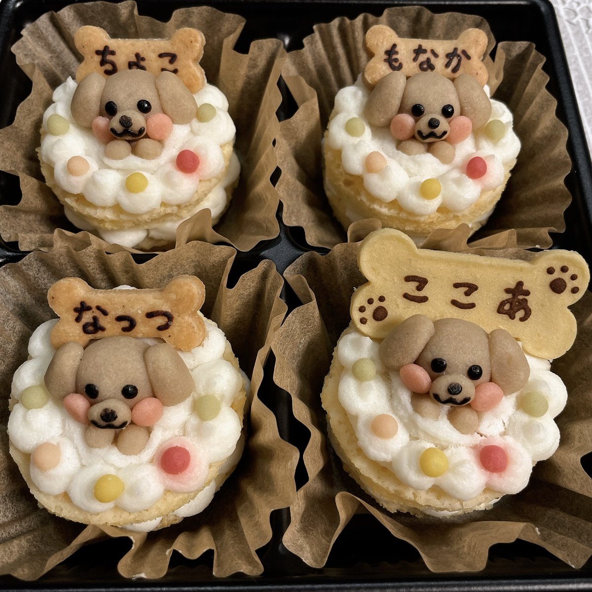 tomoka_o6's tweet photo. 実家のわんこのお誕生日会🎂
16歳になりました🥳
去年は4兄弟みんなでお祝いできた誕生日、今年は2匹になってしまったけれど、これからも元気に長生きしてね�� https://t.co/Nop7iMSqT5