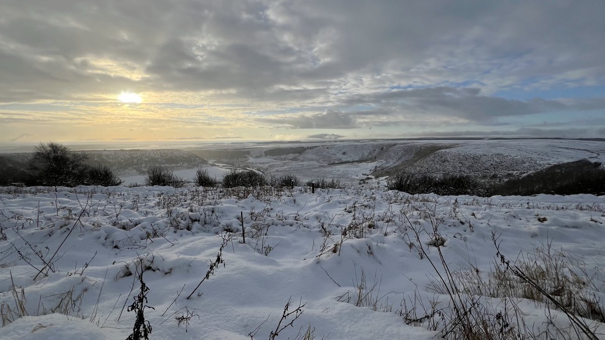 RangerSecSol's tweet photo. Yorkshire Moors and Wolds this afternoon. https://t.co/gaxVGUWZDu