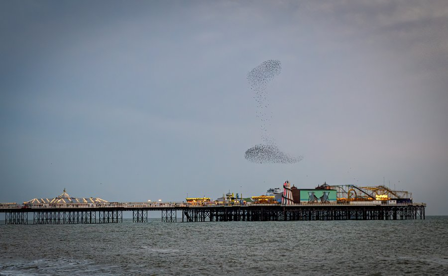 University of Sussex tweet media