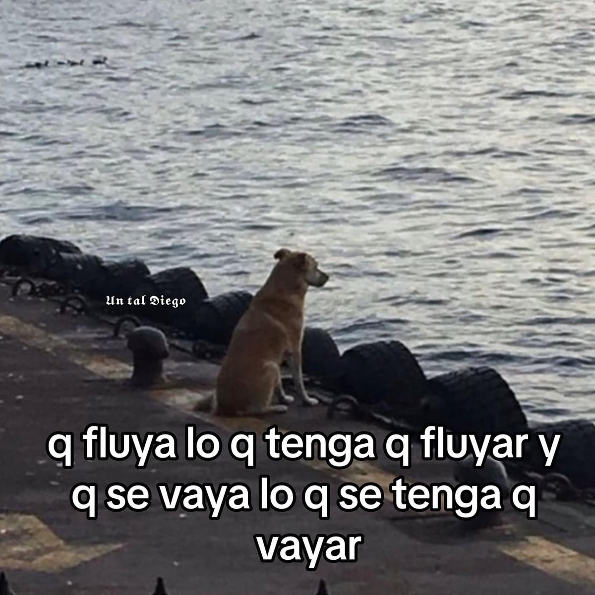 Guarromantico_'s tweet image. 