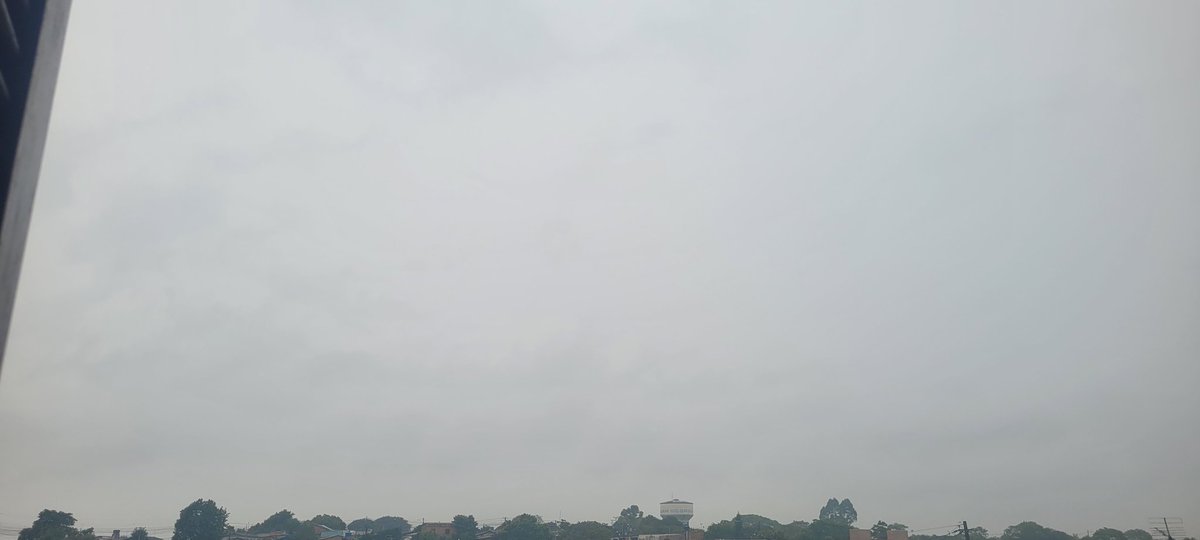 Policia (@policiachan) on Twitter photo 