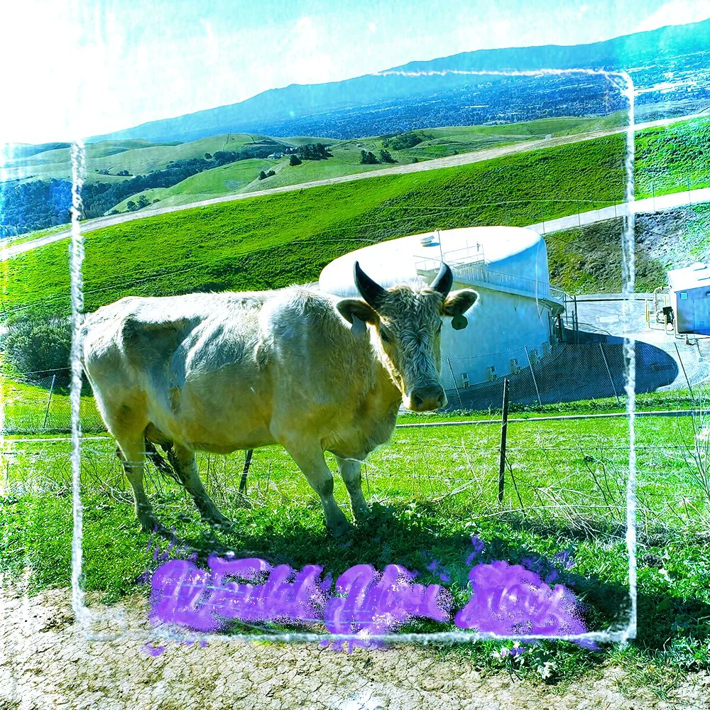 AnotherMeeks's tweet image. New song. I like it a lot.

open.spotify.com/album/1fSs7gMo…