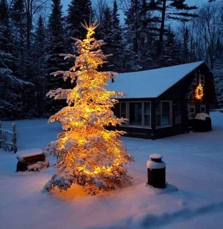 crowadinfinitum's tweet photo. 🍂❄️🎄🌟Merry December wished to all #MyTwitterFamily!! ♥️🌟🎄❄️🍂
Love you all, Tina☘️♥️🎄❄️xo xo xo

#MerryDecember 
#HappyDecember https://t.co/e6IETORCIx