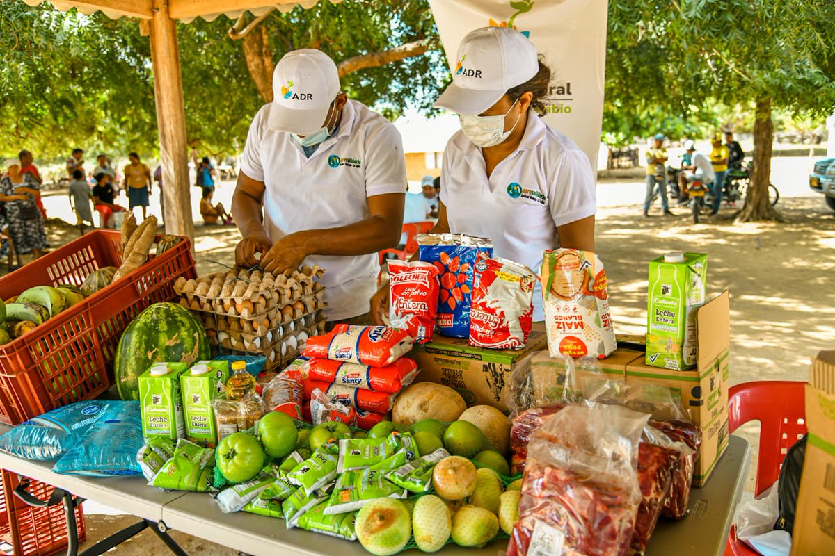 ADR_Colombia's tweet photo. Catalina Puchian resalta que siente tranquilidad al saber que estos productos son cosechados propiamente en #LaGuajira, ya que además de ayudarle a su familia y su comunidad, también representa oportunidad de trabajo e ingresos para los productores de la región. https://t.co/c1y3CzXdTe