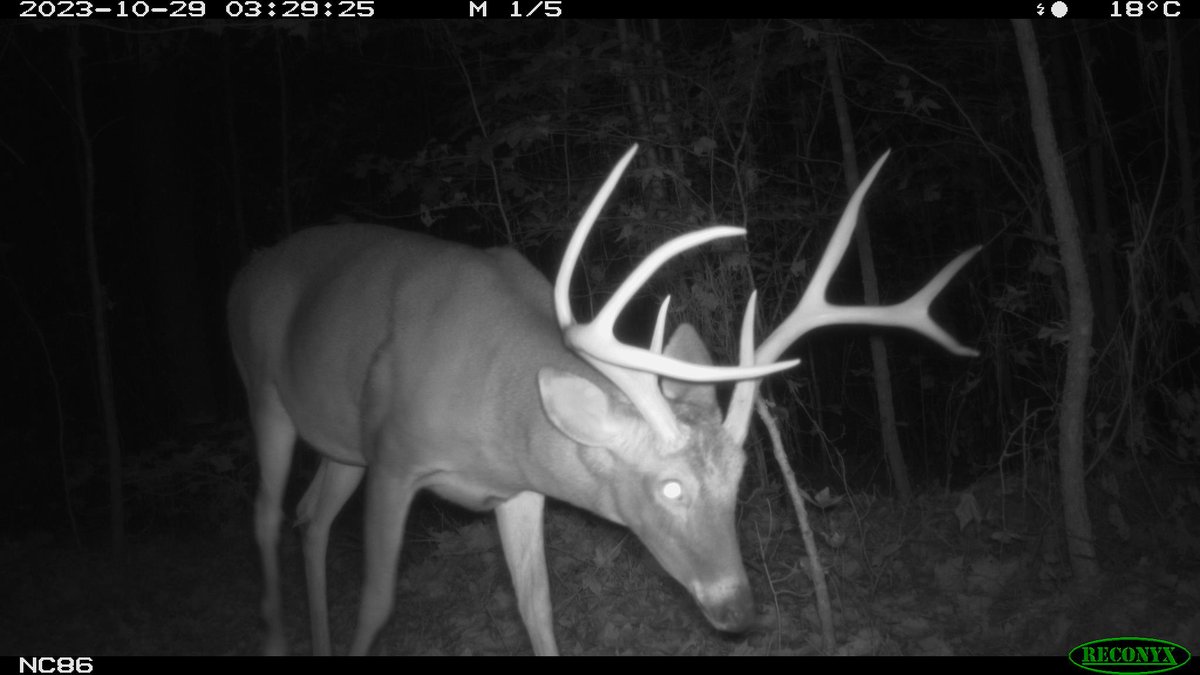 Roland Kays tweet media