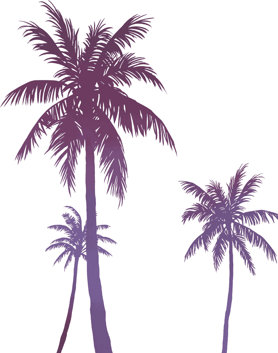 JohnM90GTA's tweet photo. ↘️ #GTA6 high-quality Palms PNG Artworks available for download here: https://t.co/qUoIeJpRPO

✍️ Useful for various graphics, article preview images, thumbnails for YouTube &amp; much more! https://t.co/p3LHmzYF4X