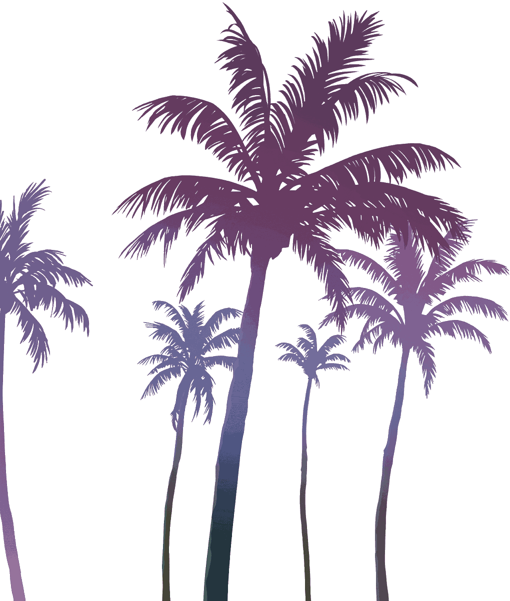 JohnM90GTA's tweet photo. ↘️ #GTA6 high-quality Palms PNG Artworks available for download here: https://t.co/qUoIeJpRPO

✍️ Useful for various graphics, article preview images, thumbnails for YouTube &amp; much more! https://t.co/p3LHmzYF4X