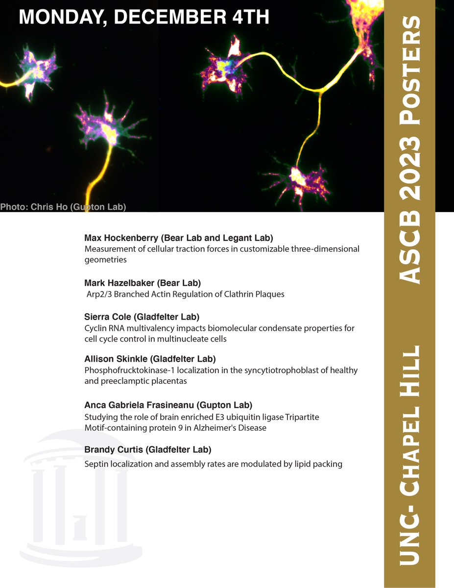 UNC Cytoskeleton Club tweet media