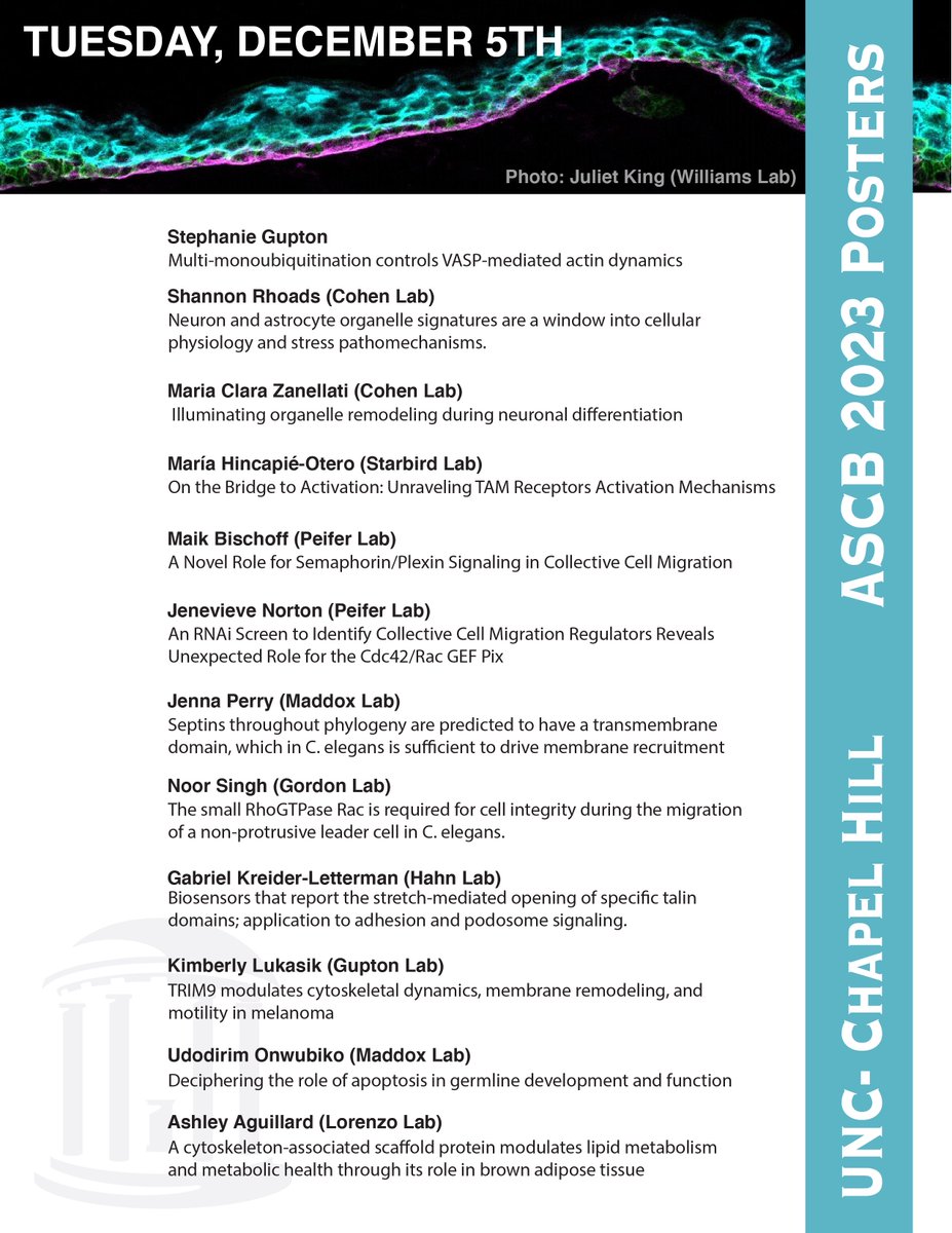 We are so excited to have SO many great talks and posters at #cellbio2023  this year!   Our Cytoskeleton Club members &amp; friends are utilizing a wide variety of techniques to study an even wider breadth of scientific topics! Check here for talk and poster info: