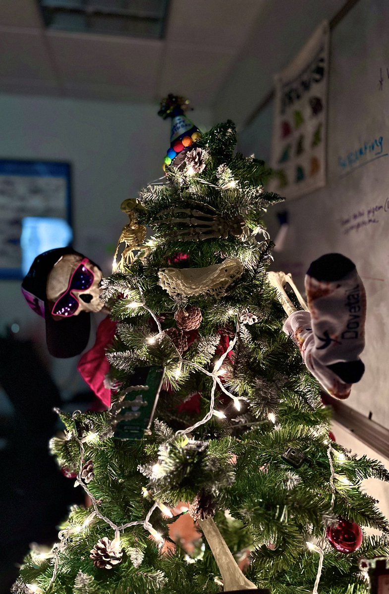 VGL Holiday tree is up for the season and Skelly wants to be as close to it as he can for as long as he can! @genomewarriors Ps: zoom in to see some really cool details/decor!