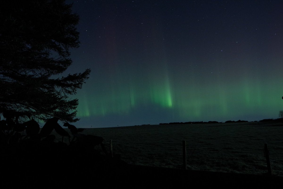 ticketyboo_sus's tweet photo. Northern lights, NE Scotland. 21.10 1st Dec.
Pentax K70 Samyang 14mm F2.8 ISO1600 4sec
#NorthernLights #NEScotland #Aberdeenshire #AuroraBorealis #PentaxK70 https://t.co/Ys6fUeZBuP