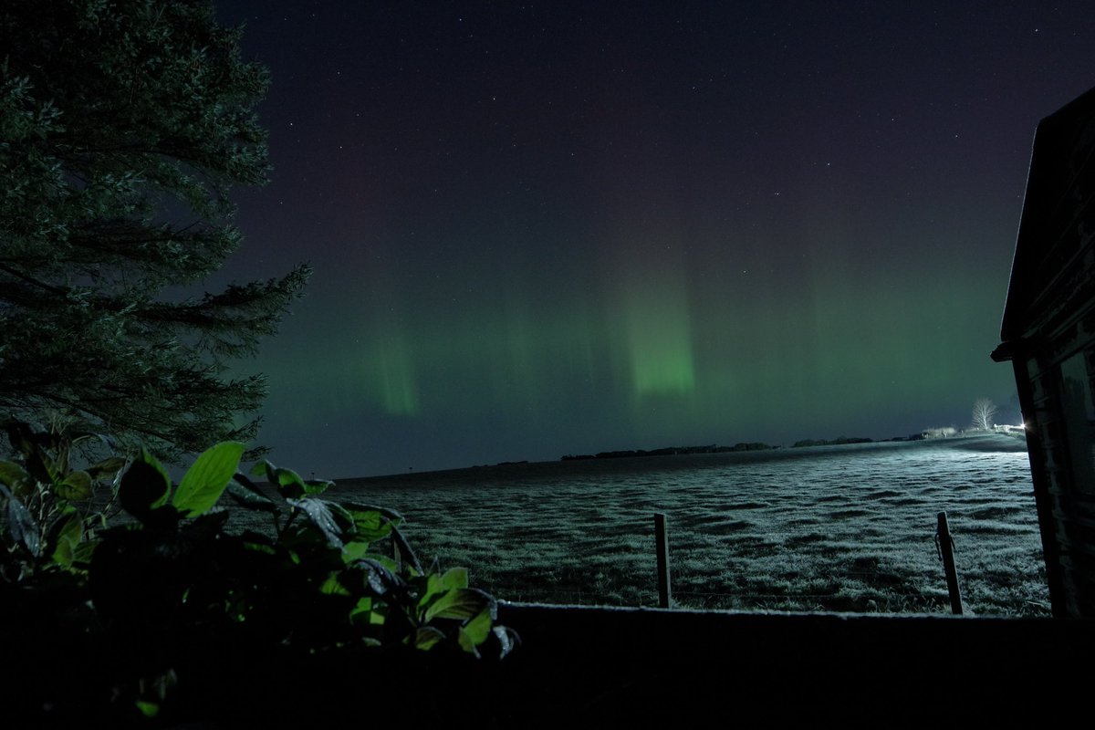 ticketyboo_sus's tweet photo. Northern lights, NE Scotland. 21.10 1st Dec.
Pentax K70 Samyang 14mm F2.8 ISO1600 4sec
#NorthernLights #NEScotland #Aberdeenshire #AuroraBorealis #PentaxK70 https://t.co/Ys6fUeZBuP