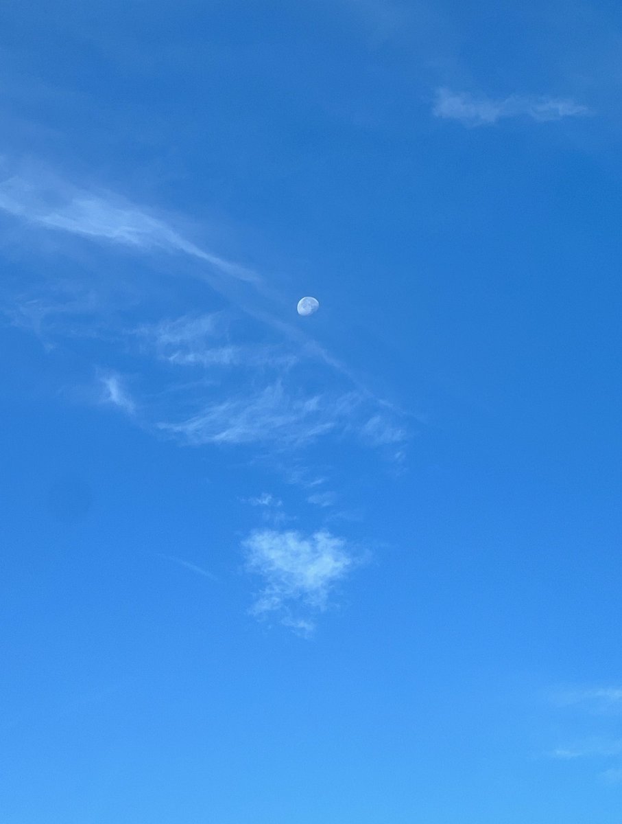 dylanescobar's tweet photo. Look up, life is passing by 🌙🔵🎨📸

Shot by me 📸 https://t.co/QWDeXnkQSn