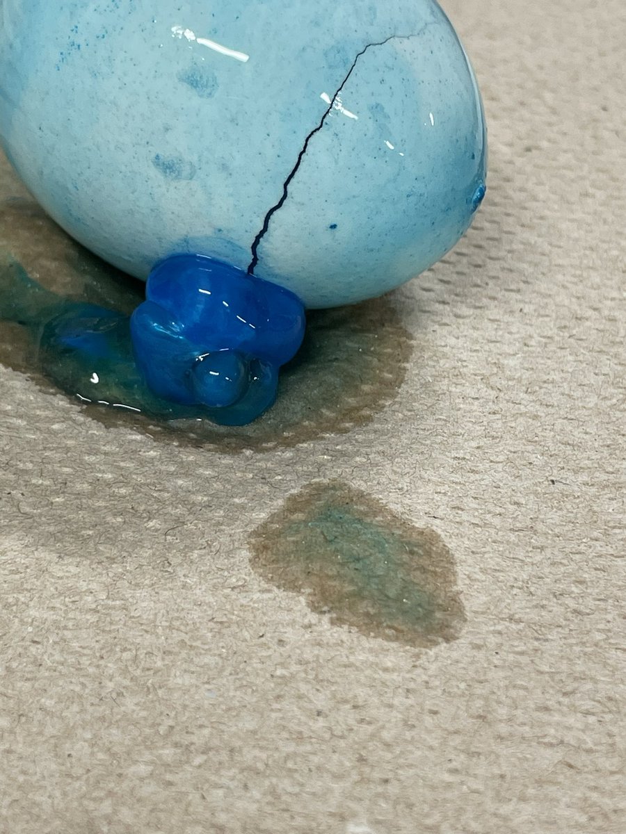 LevinBiology's tweet photo. This week in biology, we got to do 1 of my fave labs, the “urchin” egg lab. Demonstrating how atmospheric CO2 is causing the ocean to acidify. Dissolving the shells of urchins allowing for toxins to diffuse into the urchin bodies. #districtofchampions #CCHS #proudtocallcchshome https://t.co/UJgcJDkzWv