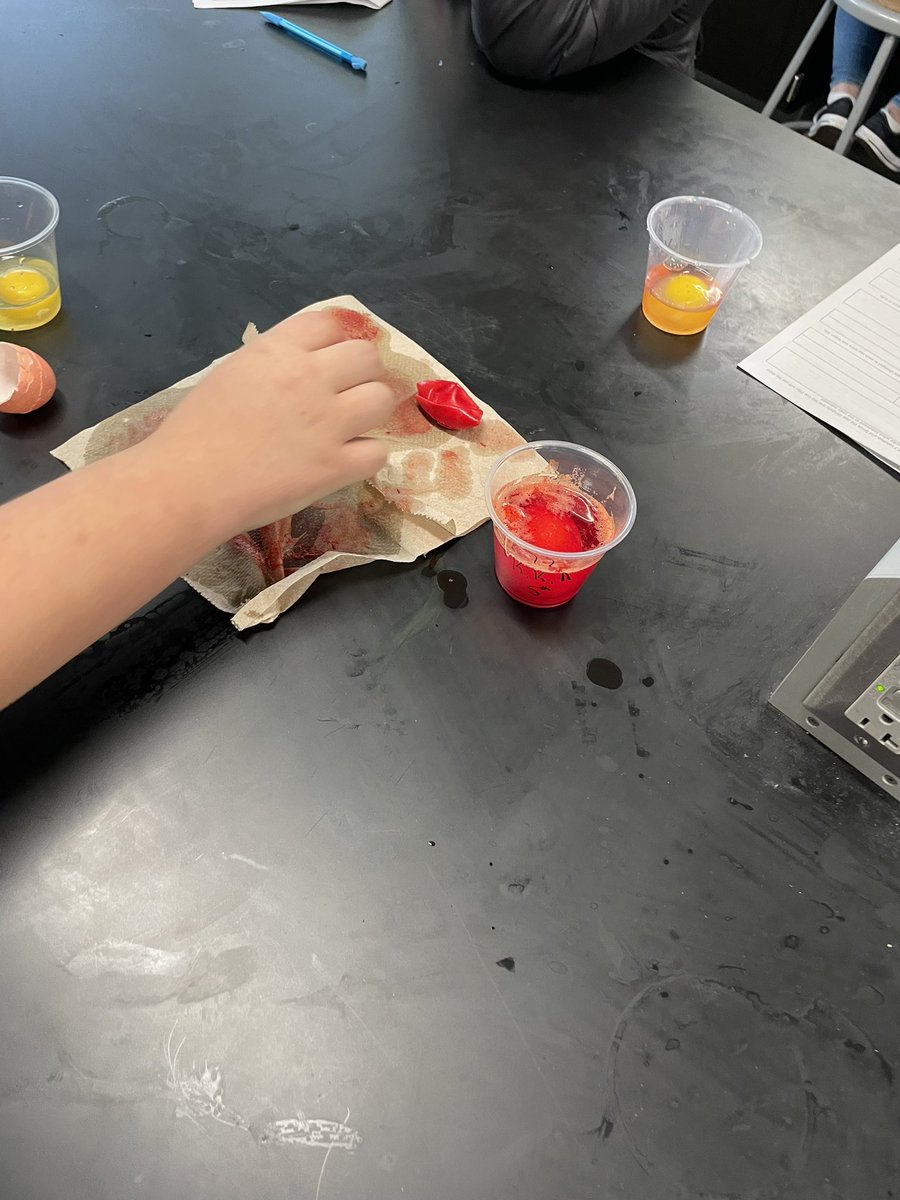 LevinBiology's tweet photo. This week in biology, we got to do 1 of my fave labs, the “urchin” egg lab. Demonstrating how atmospheric CO2 is causing the ocean to acidify. Dissolving the shells of urchins allowing for toxins to diffuse into the urchin bodies. #districtofchampions #CCHS #proudtocallcchshome https://t.co/UJgcJDkzWv