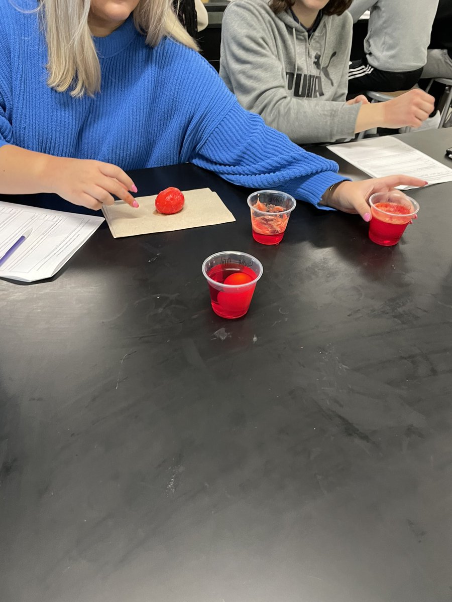 LevinBiology's tweet photo. This week in biology, we got to do 1 of my fave labs, the “urchin” egg lab. Demonstrating how atmospheric CO2 is causing the ocean to acidify. Dissolving the shells of urchins allowing for toxins to diffuse into the urchin bodies. #districtofchampions #CCHS #proudtocallcchshome https://t.co/UJgcJDkzWv