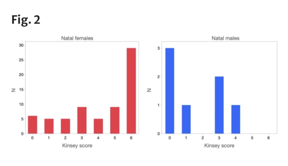 The most striking finding of this important study of detransitioners: there is an enormous overrepresentation of bi and lesbian girls. The boys, in contrast, are more evenly split between straight and bi.