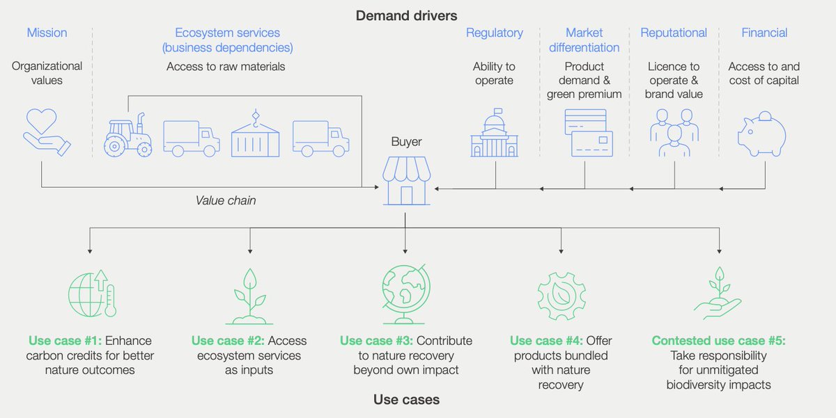With effective progress on governance, global demand for voluntary biodiversity credits could reach $2 billion in 2030 and $69 billion by 2050: weforum.org/publications/b… <a href="/MakeNatureCount/">NatureFinance</a> <a href="/AlexandriaESG/">Alexandria Fisher</a> <a href="/TNFD_/">TNFD</a> <a href="/GlobalCanopy/">Global Canopy</a>