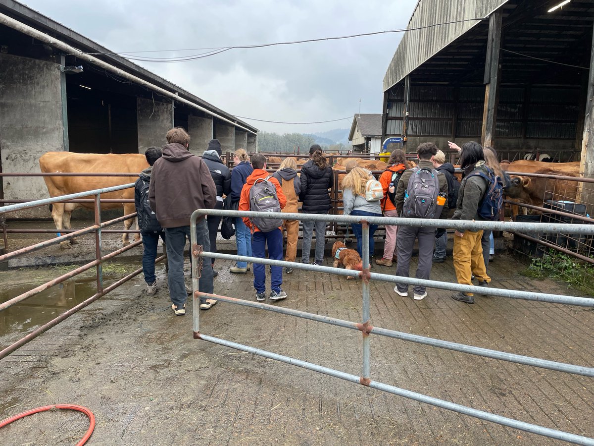 OregonStateBEE's tweet image. Why do we love being part of @OSUAgSci? On-campus field trips to an operational dairy! 🐄

Our capstone design students viewed operations &amp;amp; gathered data as they work on resource recovery from waste.

#EcologicalEngineering #Agriculture #AgricultrualEngineering #Dairy #GoBeavs