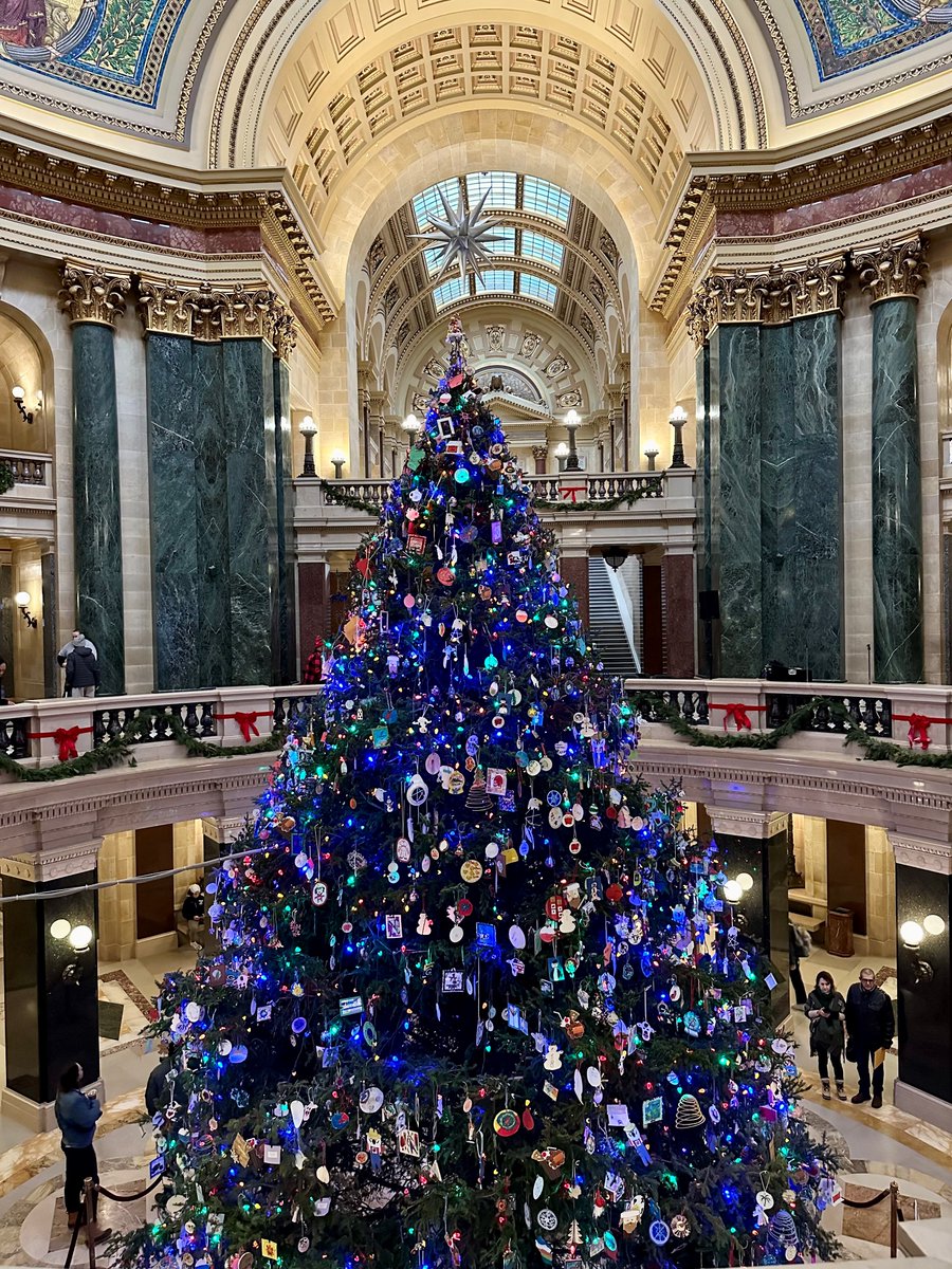 Today the 2023 Capitol Holiday Tree, 'Mr. Frank', was lit commemorating the state's 175-year anniversary! 🎄