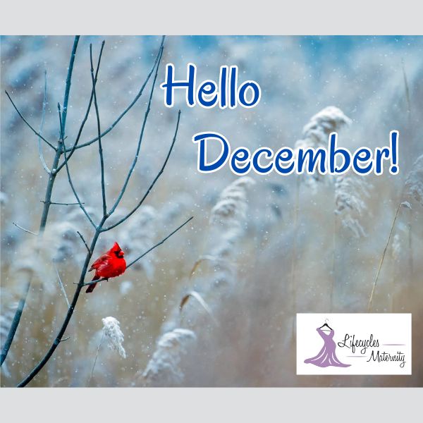 LifecyclesM's tweet photo. Have a great weekend everyone! #lifecyclesmaternity.com #maternitywear #baby #rent #maternityclothing #online #Friday #maternity #pregnant #babybump #December #motherhood #expectingmama #maternitystore #pregnancy #maternityclothes #subscribe #christmasiscoming #weekend https://t.co/zQuwkCSitj