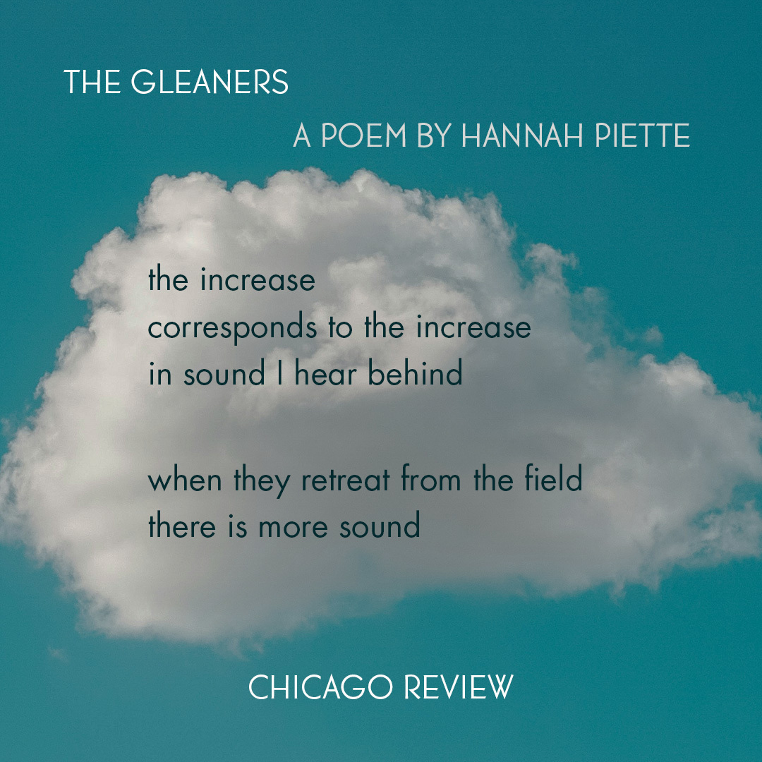 Now on our website, new poetry from Hannah Piette (@hannahpiette4). You can read 'The Gleaners' here: chicagoreview.org/the-gleaners/