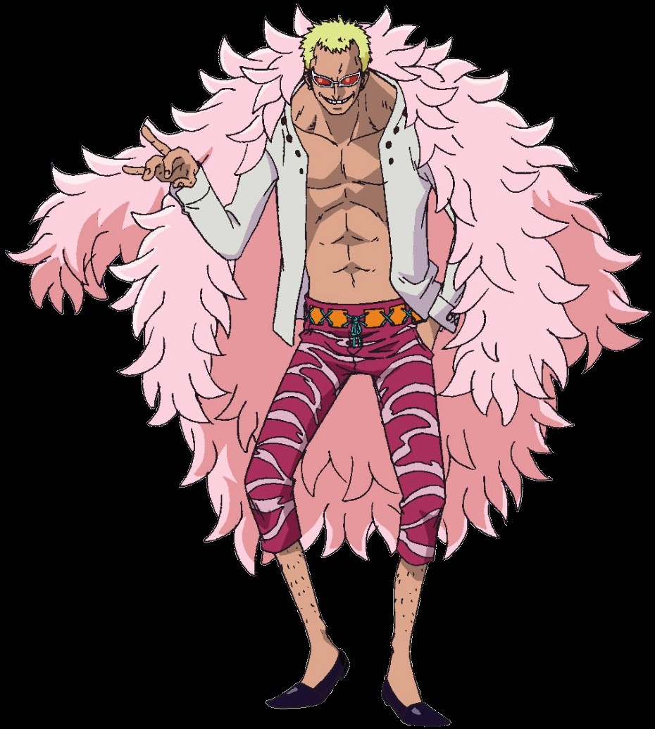 silky23rd's tweet photo. @WWERollins this is Don flamingo please give us this ring gear one price fans will lose it https://t.co/A2ggZ56lUI