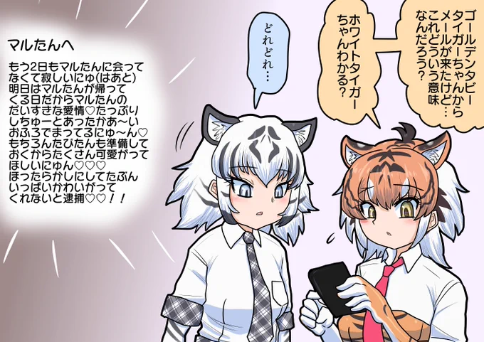 間違いメール  ゴールデンタビータイガーから謎のメールを受け取ったスマトラトラ。ホワイトタイガーに聞いてみるが…