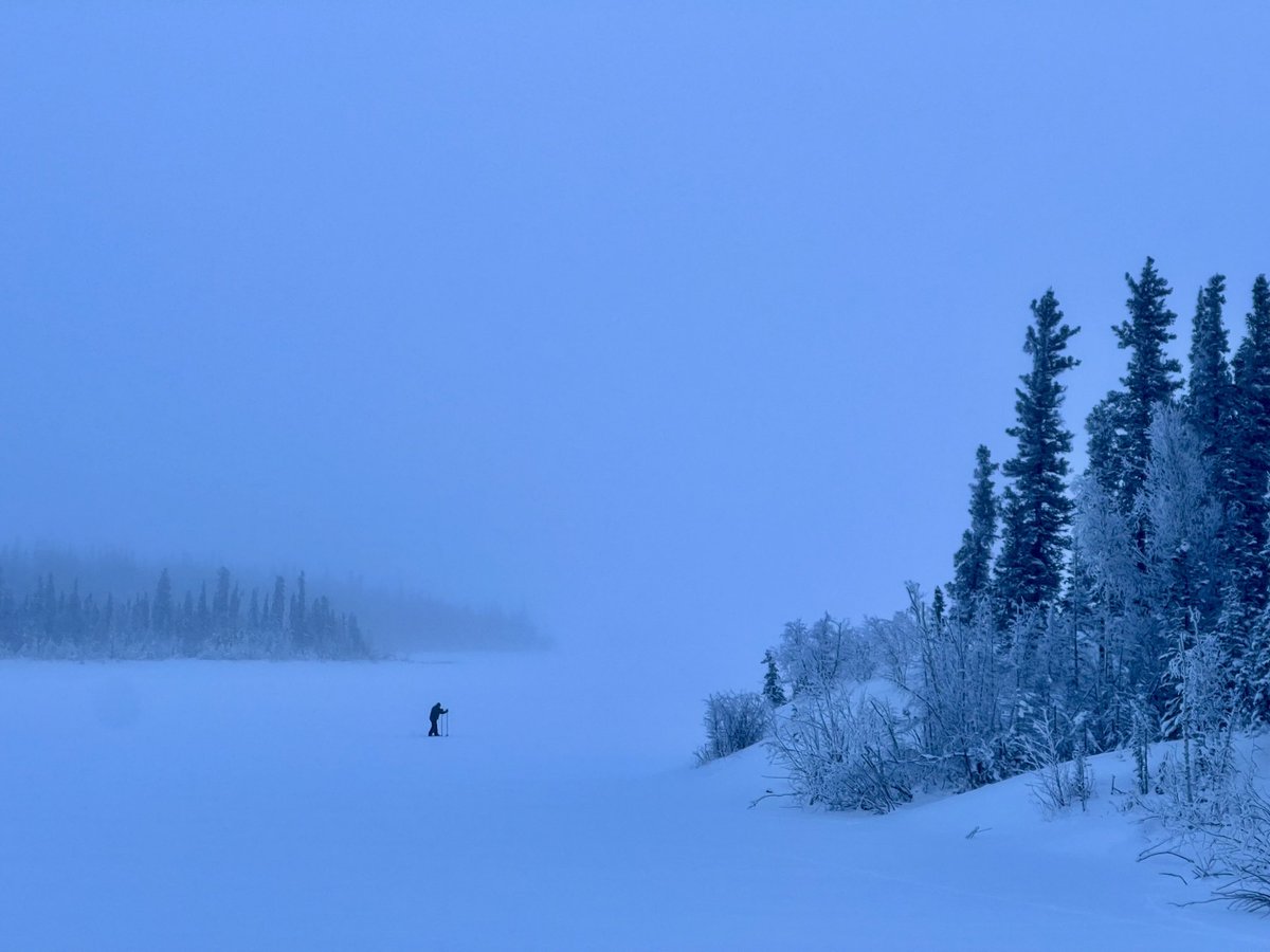 LaurieSarkadi's tweet photo. #Hok skiing in stunning hoar frost then suddenly fog. So dreamy. #winterisfun https://t.co/LOFDKVYWgQ