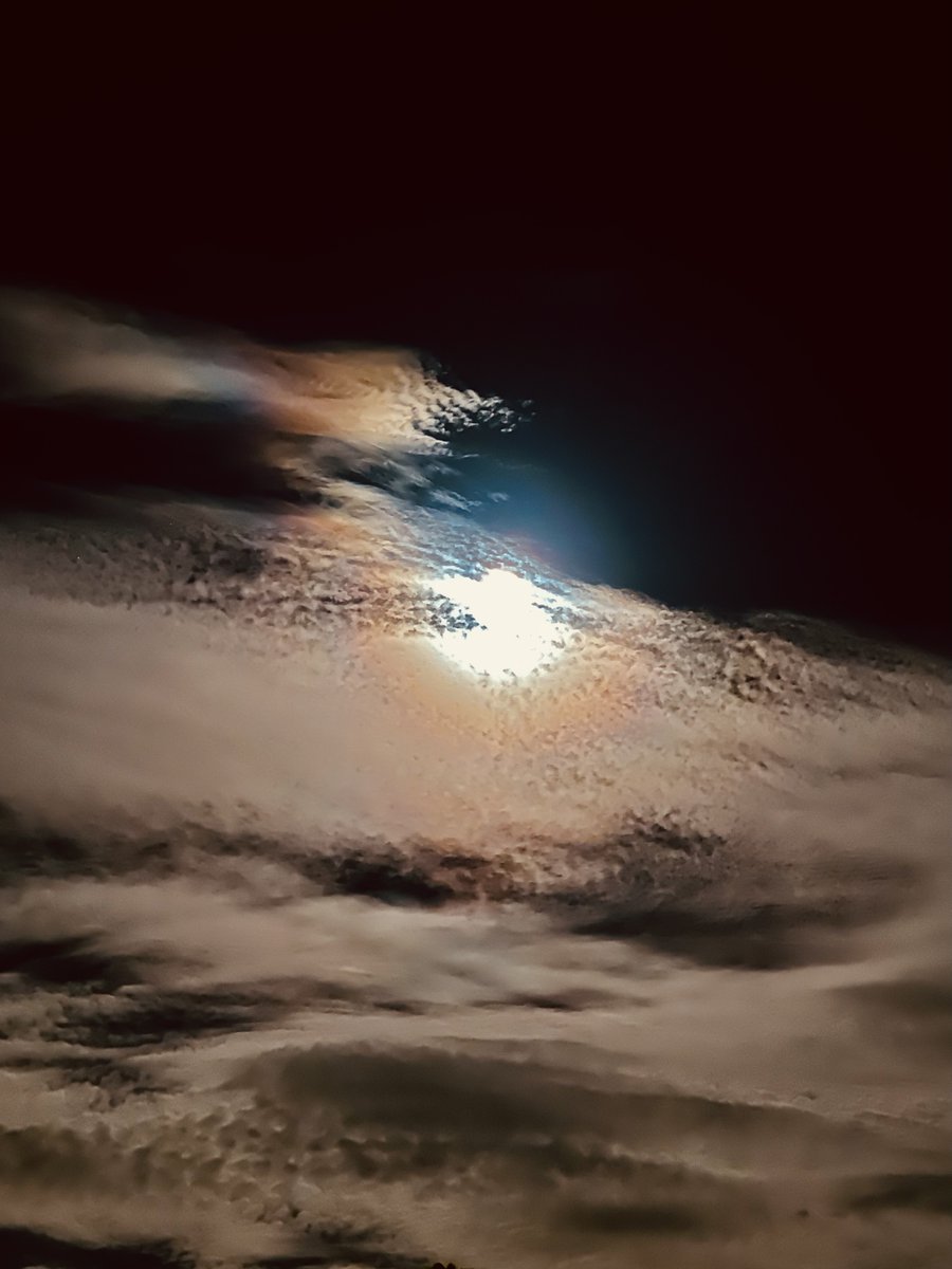 Steven Gutterman tweet media