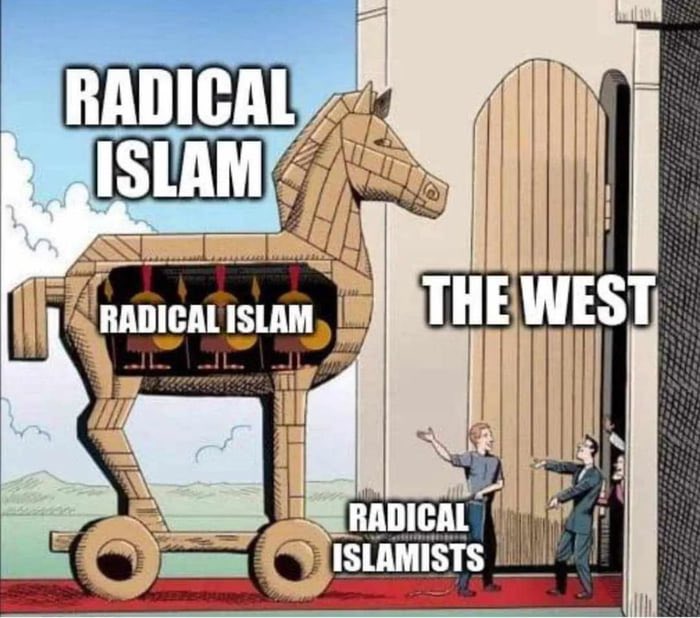 RitaPanahi's tweet image. 🎯