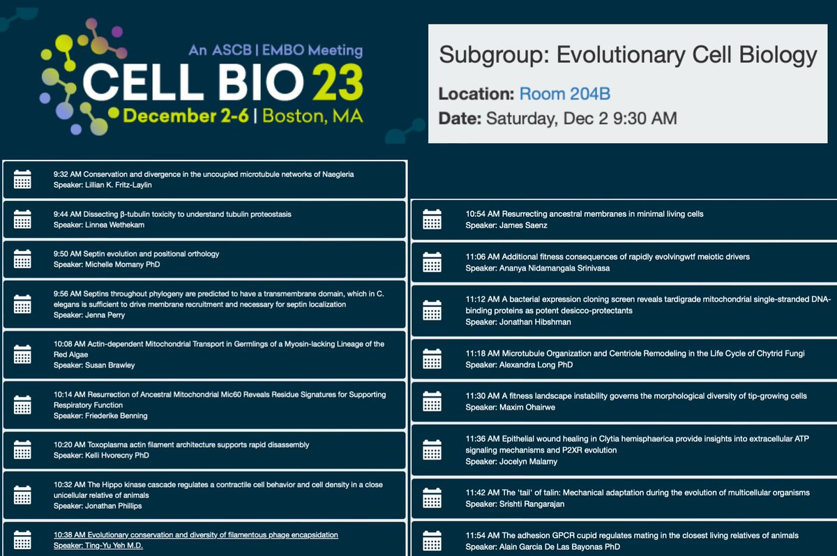 Please also come to this Evolutionary Cell Biology subgroup. We have an exciting speaker lineup! #cellbio2023